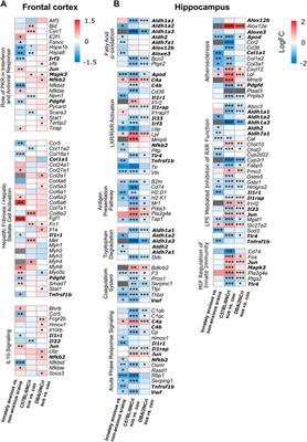 Gene expression profiling reveals a role of immune system and inflammation in innate and stress-induced anxiety-like behavior